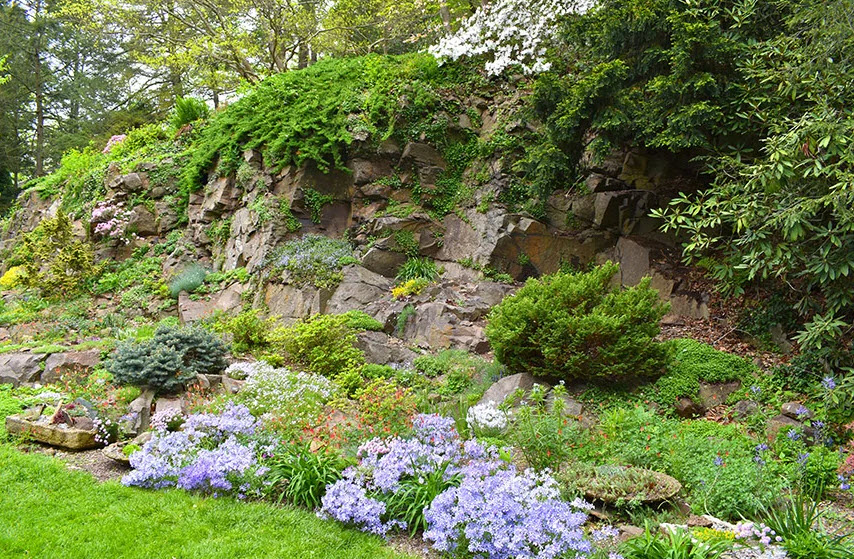 Leonard J Buck Garden, United States